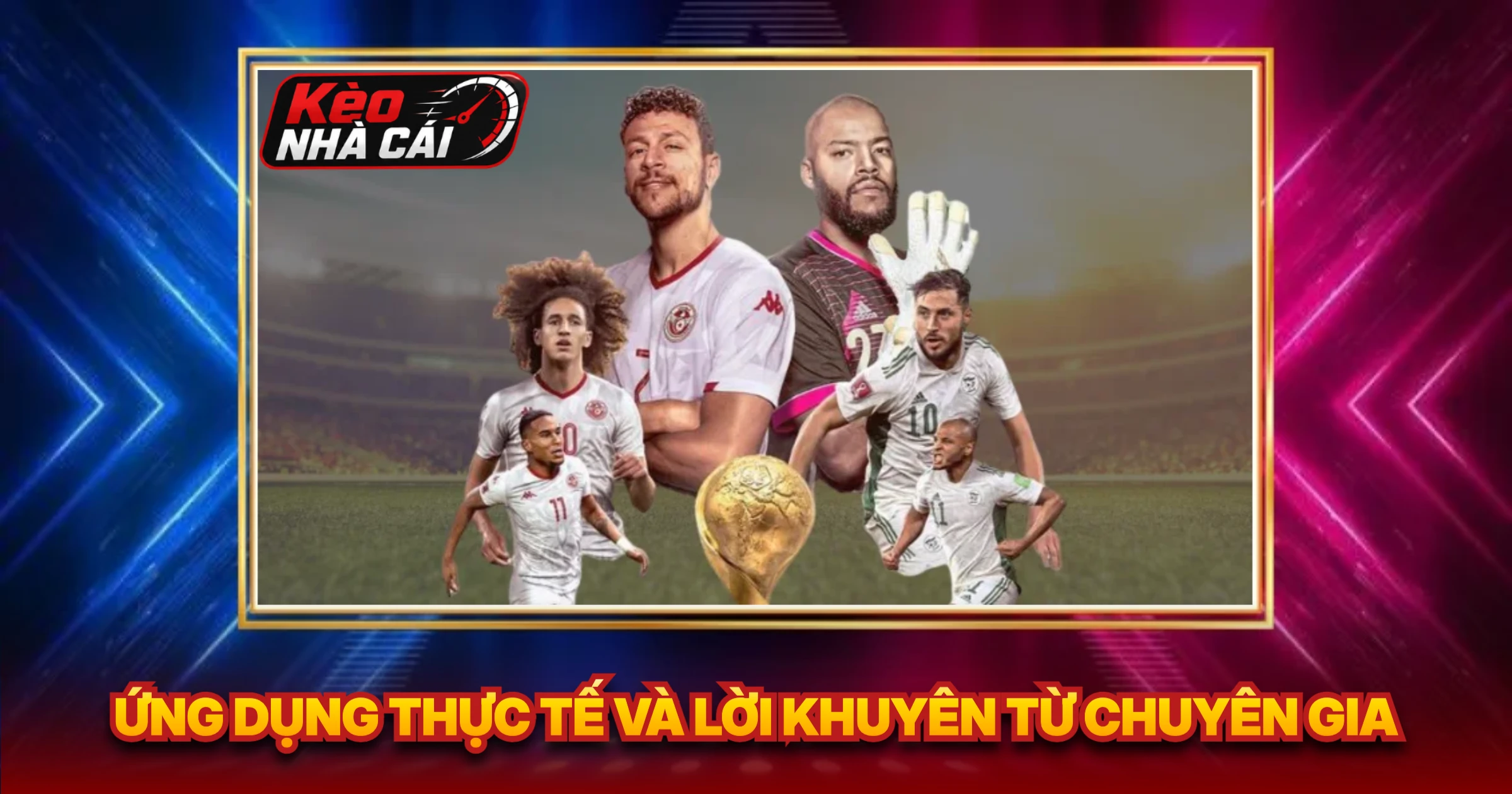 Ứng Dụng Thực Tế Và Lời Khuyên Từ Chuyên Gia